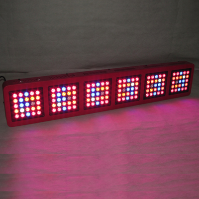 50 - 60HZ Vegetable Greenhouse Grow Lights 750w Hemp M.J Medical Plant Growing