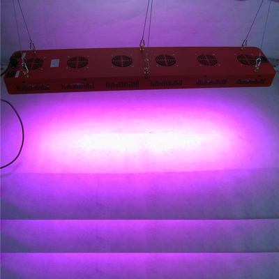 50 - 60HZ Vegetable Greenhouse Grow Lights 750w Hemp M.J Medical Plant Growing