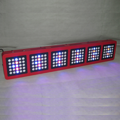 50 - 60HZ Vegetable Greenhouse Grow Lights 750w Hemp M.J Medical Plant Growing