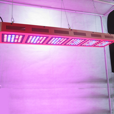 50 - 60HZ Vegetable Greenhouse Grow Lights 750w Hemp M.J Medical Plant Growing