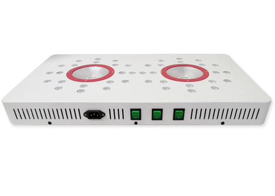 High PPFD & PAR Value COB Grow Lights 288W Full spectrum plant growing for Indoor medical plants Hydroponics systems