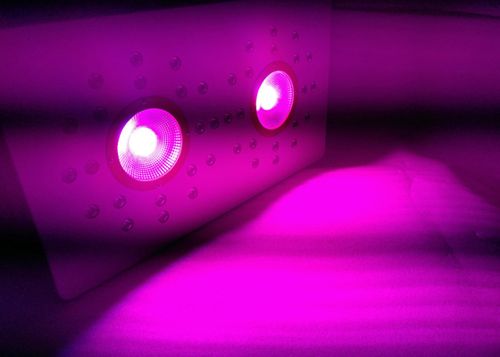 High PPFD & PAR Value COB Grow Lights 288W Full spectrum plant growing for Indoor medical plants Hydroponics systems