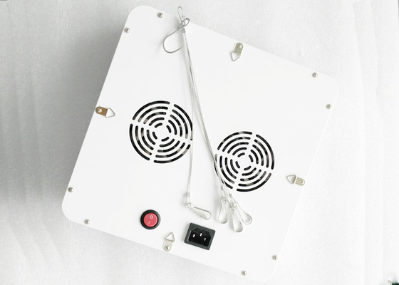 Hydroponic Aeroponic Cultivation 300w Led Grow Light 600W Full Spectrum Grow Tent