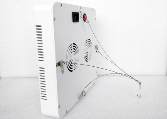 Hydroponic Aeroponic Cultivation 300w Led Grow Light 600W Full Spectrum Grow Tent