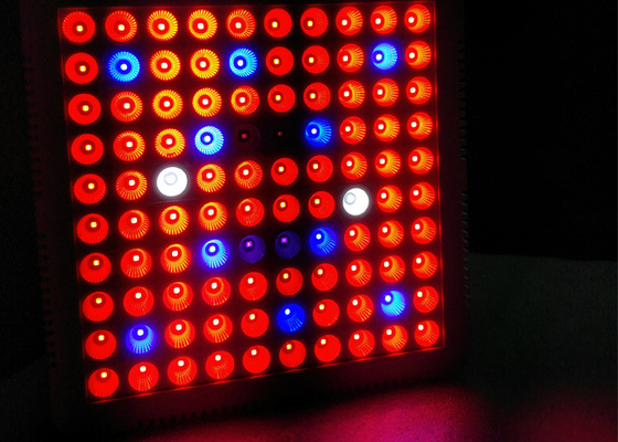 Hydroponic Aeroponic Cultivation 300w Led Grow Light 600W Full Spectrum Grow Tent