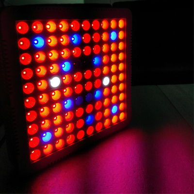 300w best full spectrum led grow light kits for Indoor Greenhouse horticultural grow tent cannabis weed VEG&Bloom