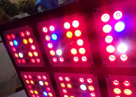 UV IR  600W Low Heat Grow Lights 3W LED OSRAM CREE EPISTAR Chip For Hydroponic
