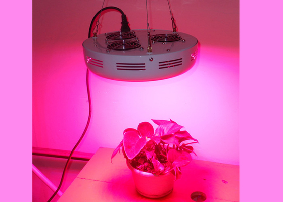 Hydroponic 180W  Ufo Grow Light Lamp For Indoor Plants Veg Bloom Growth Full Spectrum