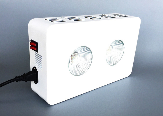 COB LED Growing Plant Lamp For Agricultural Tissue Culture Cultivation Hydroponic Grow Systems