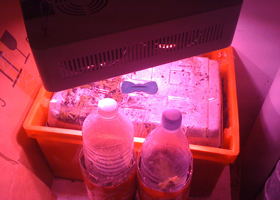 COB LED Growing Plant Lamp For Agricultural Tissue Culture Cultivation Hydroponic Grow Systems
