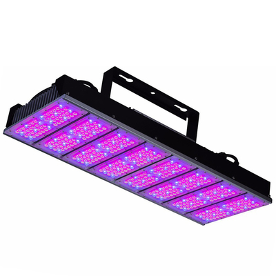 Plant Growth 500W Outdoor Grow Lights Panel Cultivation VEG Bloom For Greenhouse