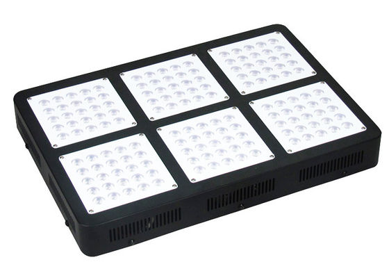 Medical Hemp Mj 4 Ft Grow Lights For Indoor Plants , 750w Cree Garden Greenhouse Grow Lights