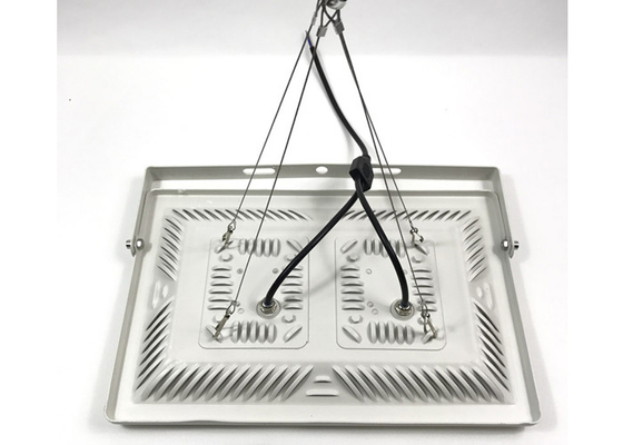 600Watt 380 - 840nm Outdoor Grow Lights For Hydroponic Indoor Growing Dimmable